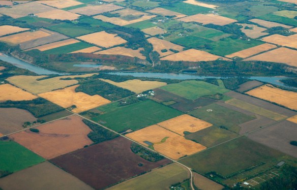 Fintech company Trace Genomics develops a genetic testing platform for agriculture, securing $4 million in funding to enhance global food systems efficiency and sustainability.